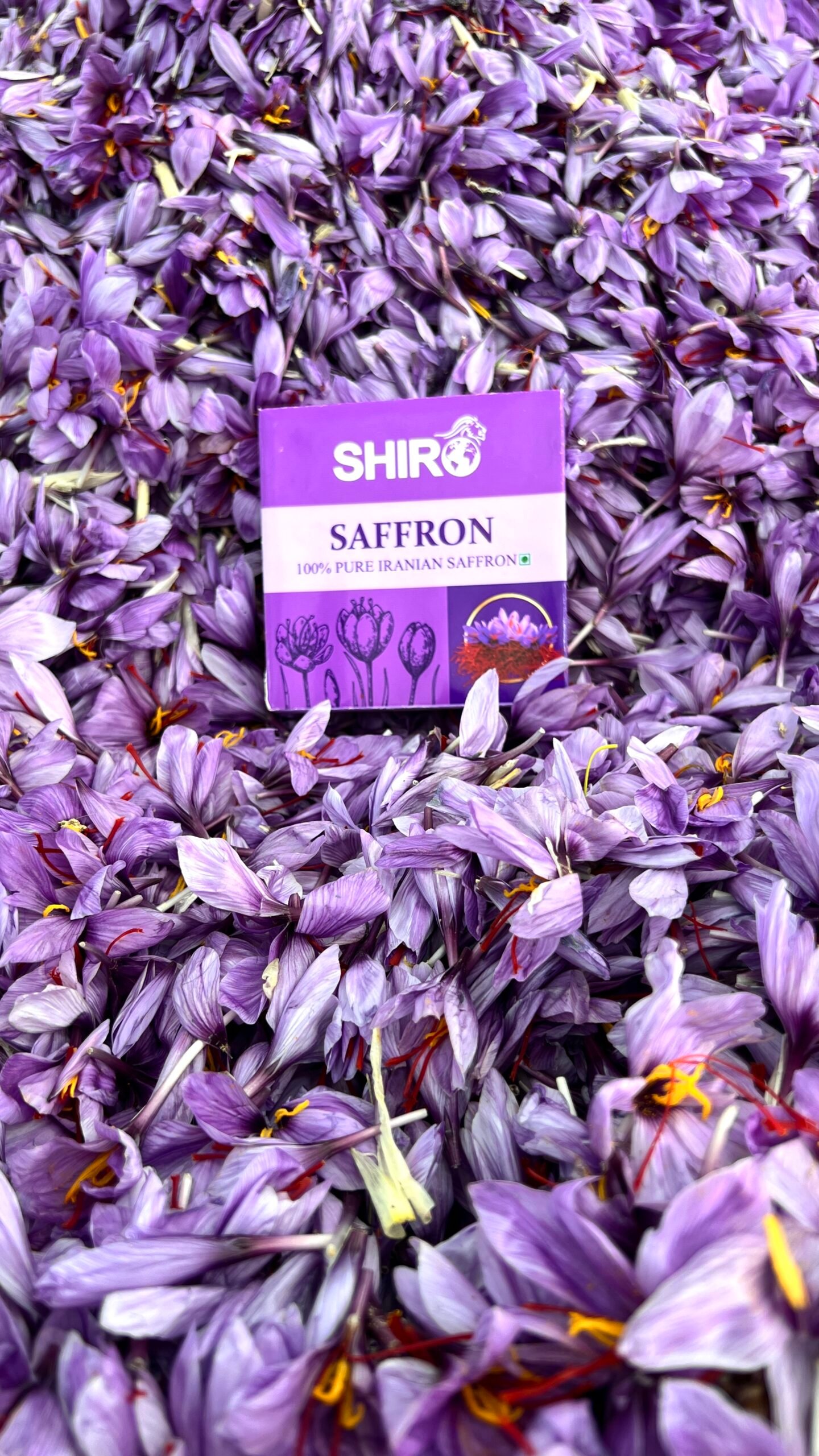 Saffron 3.jpg